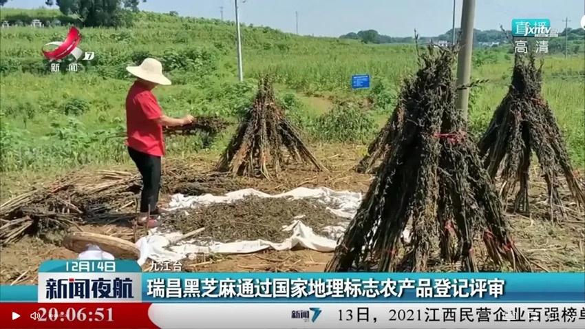 1643167360108487.jpg 1.jpg