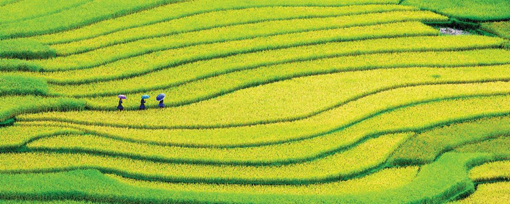 1664442840136853.jpg 4.jpg