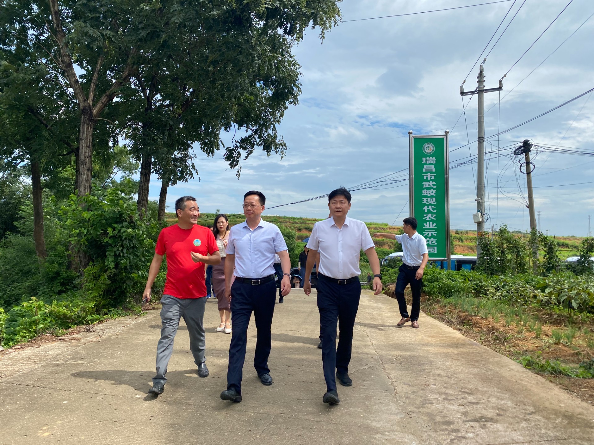 省農(nóng)業(yè)農(nóng)村廳吳國昌副廳長、九江市農(nóng)業(yè)農(nóng)村局朱云局長、瑞昌市農(nóng)業(yè)農(nóng)村局曾憲利局長、省農(nóng)業(yè)系統(tǒng)領(lǐng)導(dǎo)一行來農(nóng)業(yè)科技示范展示基地考察